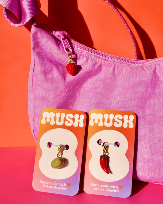 Zipper Pull Bag Charm